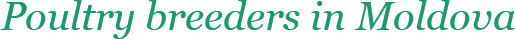 en