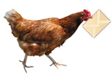 kuritsa