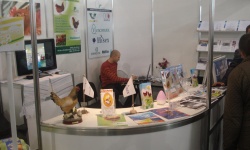 Expozitie